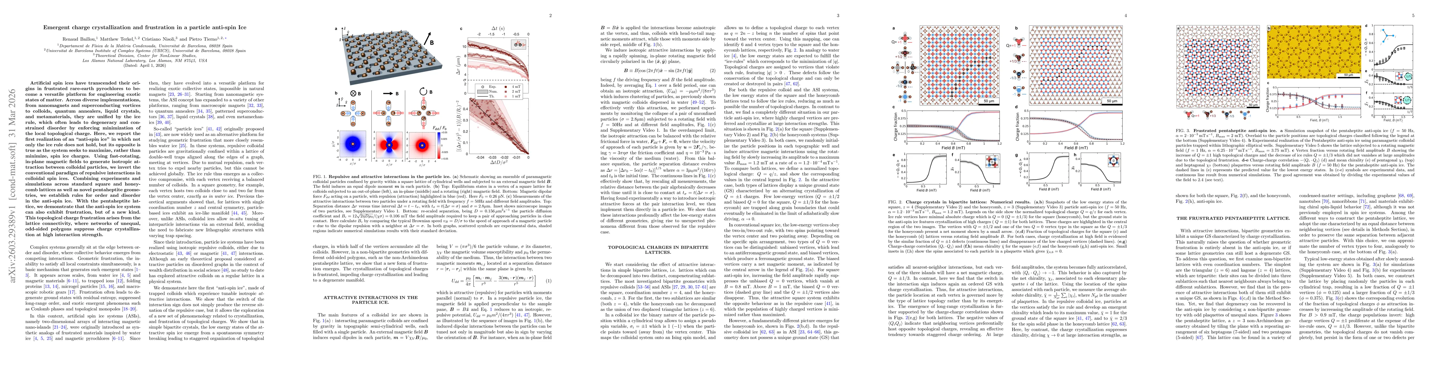 Thumbnail for Emergent charge crystallization and frustration in a particle anti-spin Ice