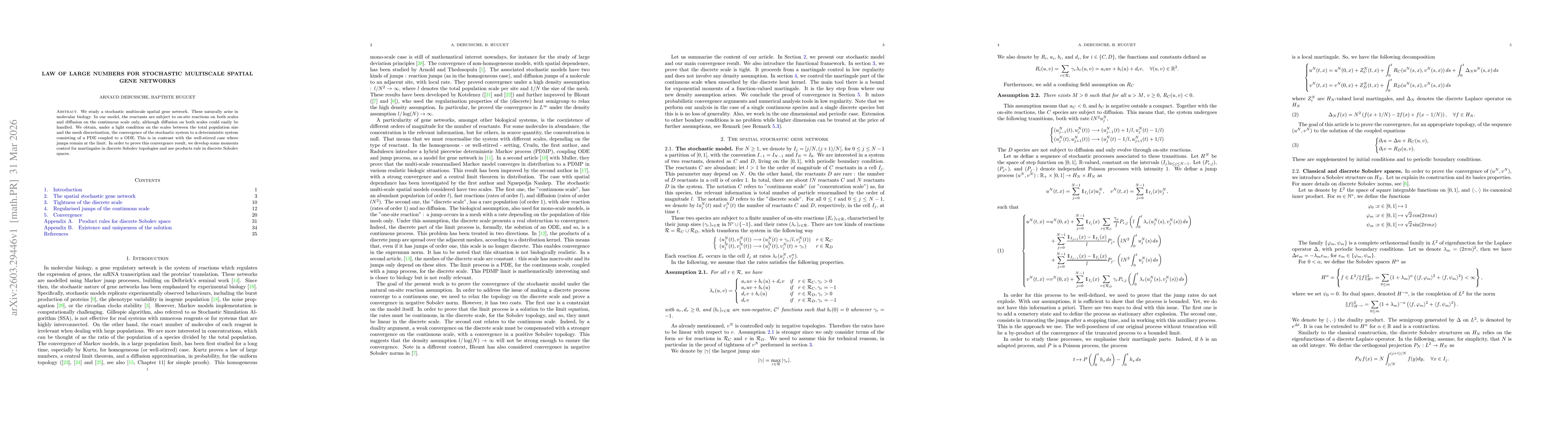 Thumbnail for Law of large numbers for stochastic multiscale spatial gene networks