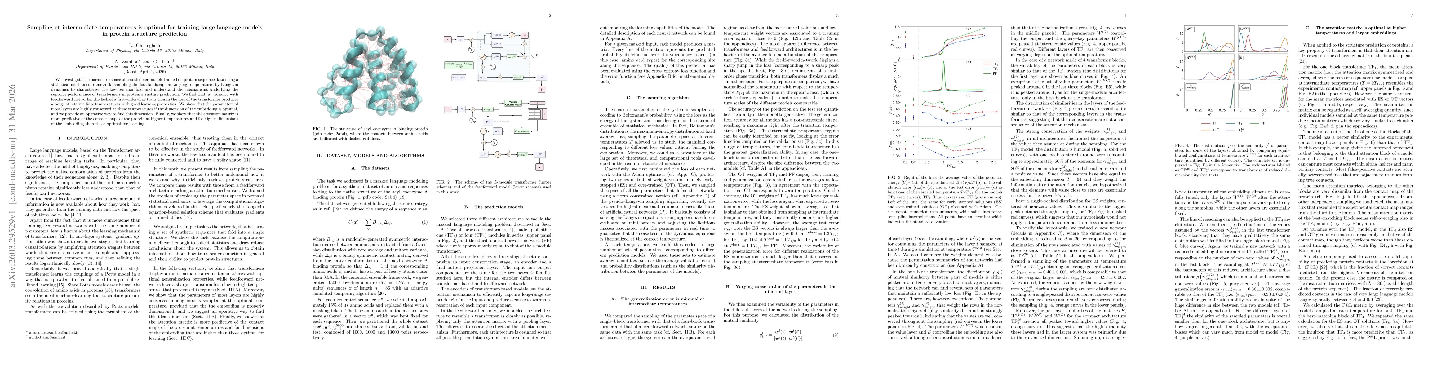 Thumbnail for Sampling at intermediate temperatures is optimal for training large language models in protein structure prediction