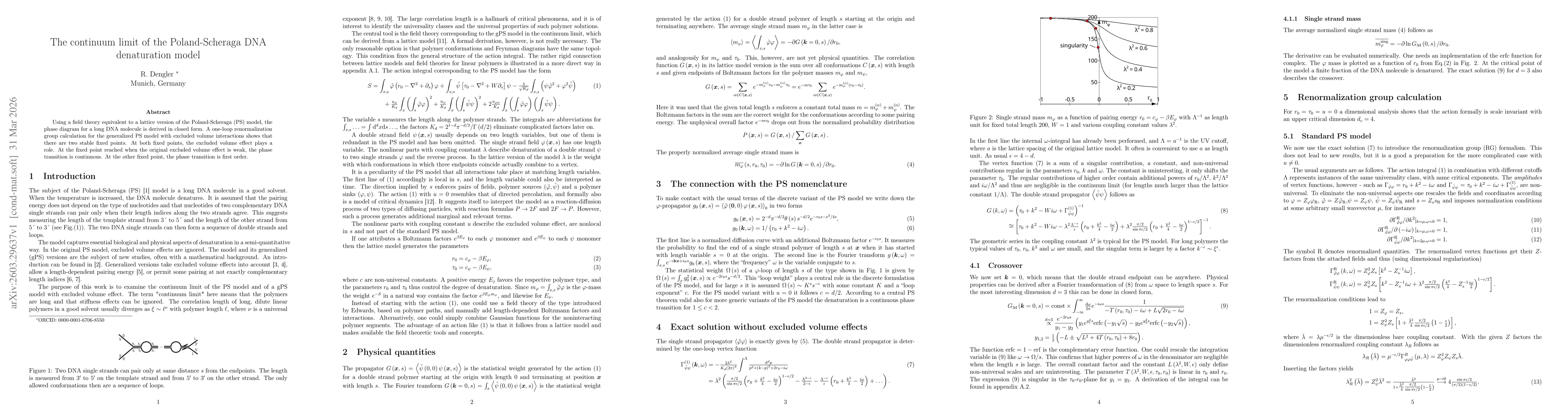 Thumbnail for The continuum limit of the Poland-Scheraga DNA denaturation model