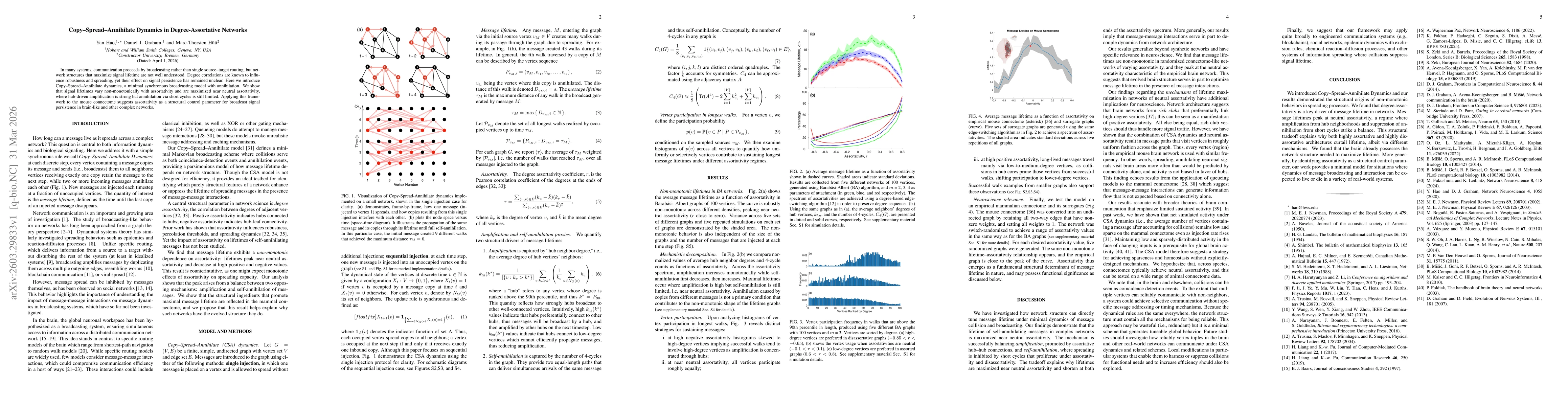 Thumbnail for Copy-Spread-Annihilate Dynamics in Degree-Assortative Networks