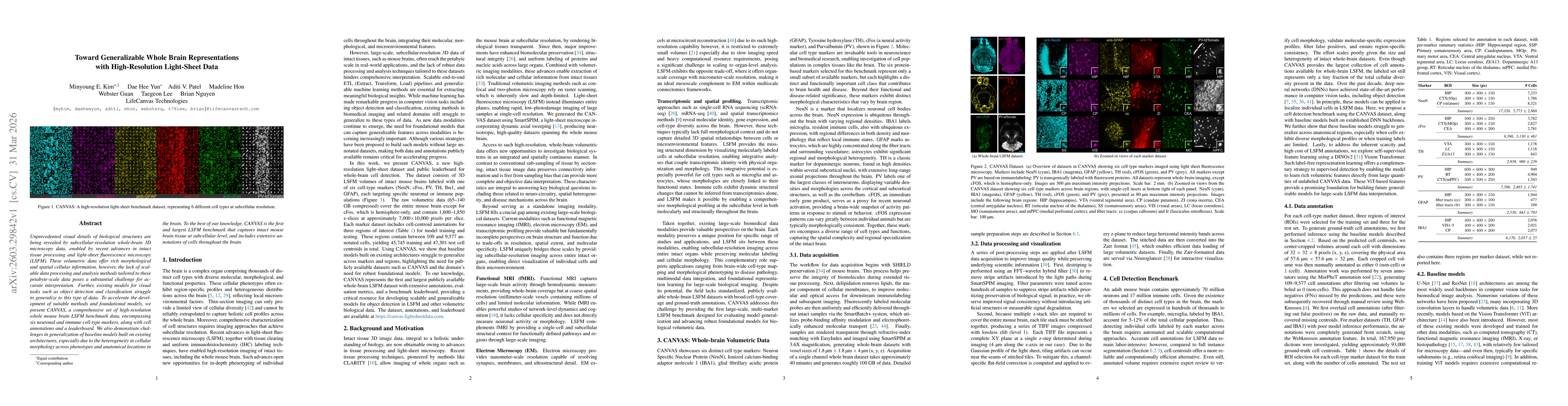 Thumbnail for Toward Generalizable Whole Brain Representations with High-Resolution Light-Sheet Data