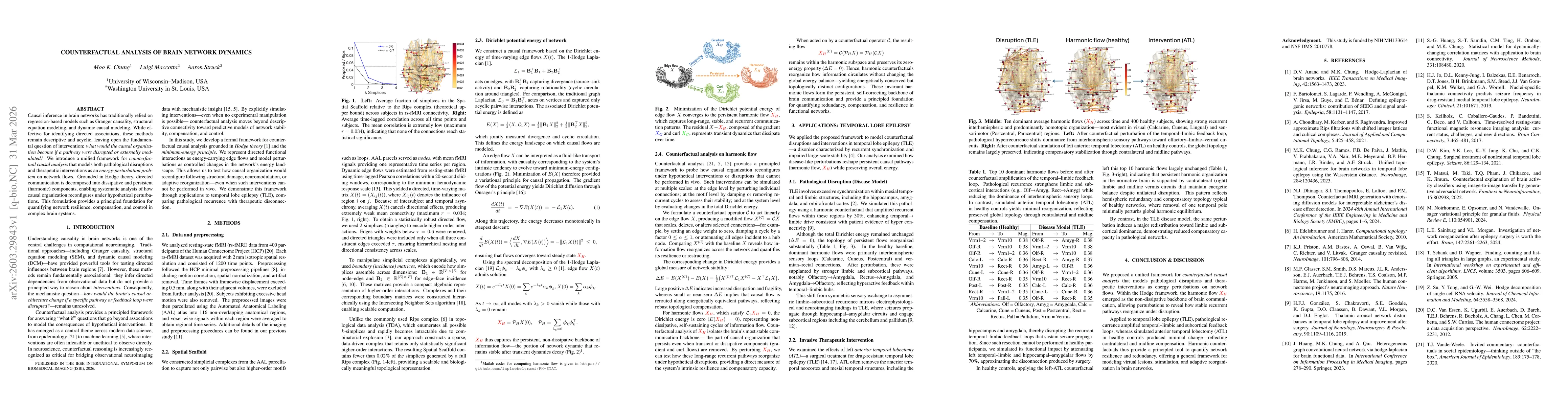 Thumbnail for Counterfactual Analysis of Brain Network Dynamics
