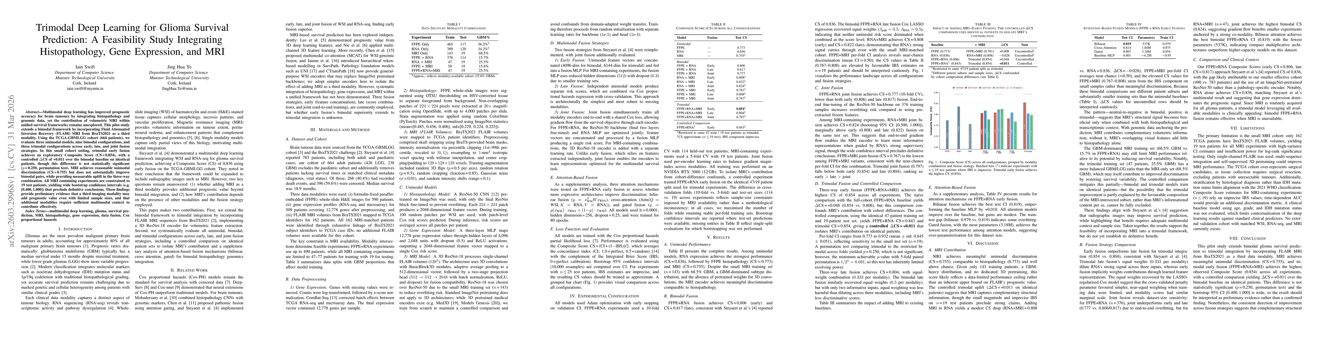 Thumbnail for Trimodal Deep Learning for Glioma Survival Prediction: A Feasibility Study Integrating Histopathology, Gene Expression, and MRI