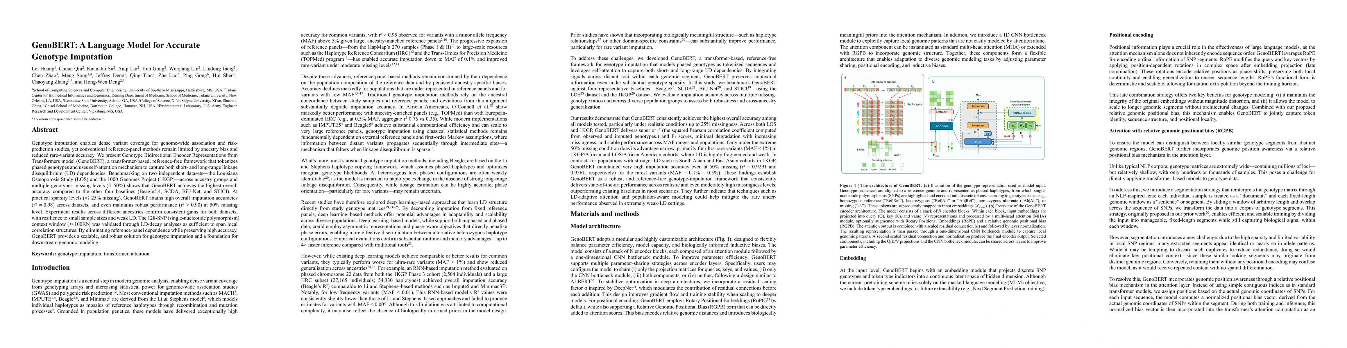 Thumbnail for GenoBERT: A Language Model for Accurate Genotype Imputation