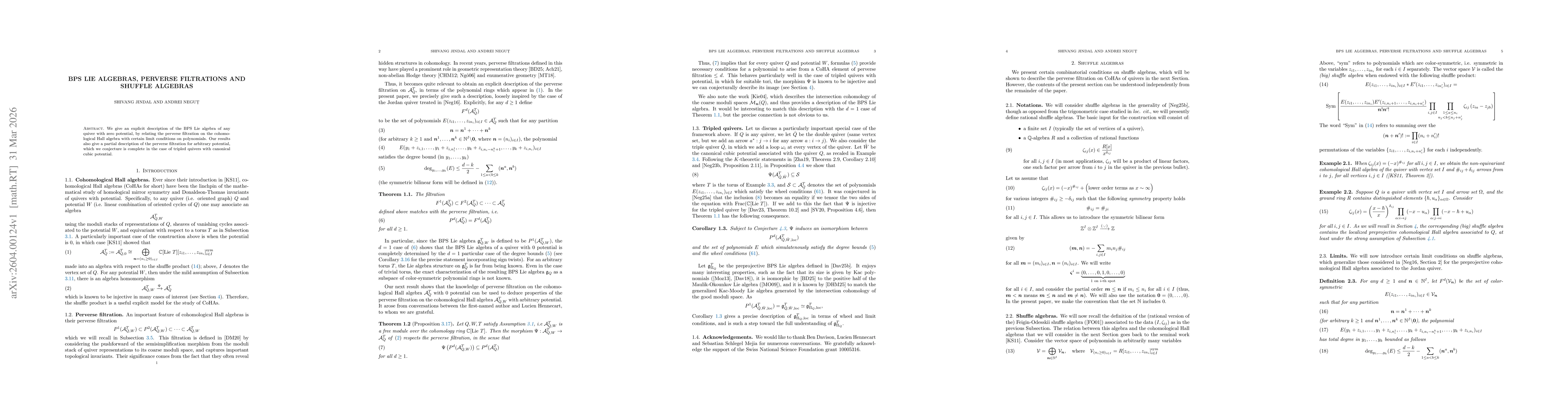 Thumbnail for BPS Lie algebras, perverse filtrations and shuffle algebras
