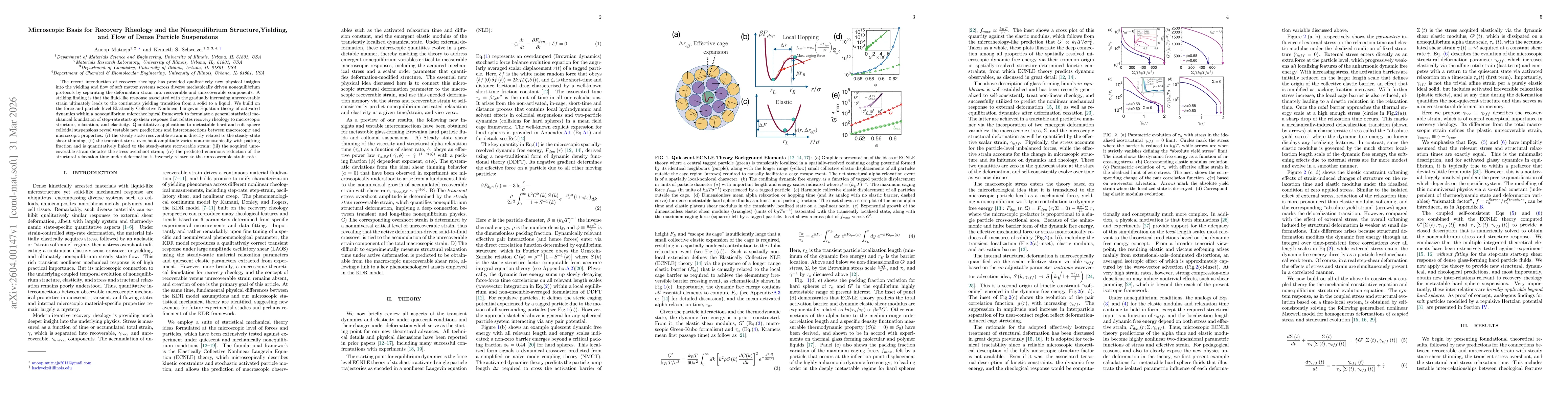 Thumbnail for Microscopic Basis for Recovery Rheology and the Nonequilibrium Structure,Yielding, and Flow of Dense Particle Suspensions
