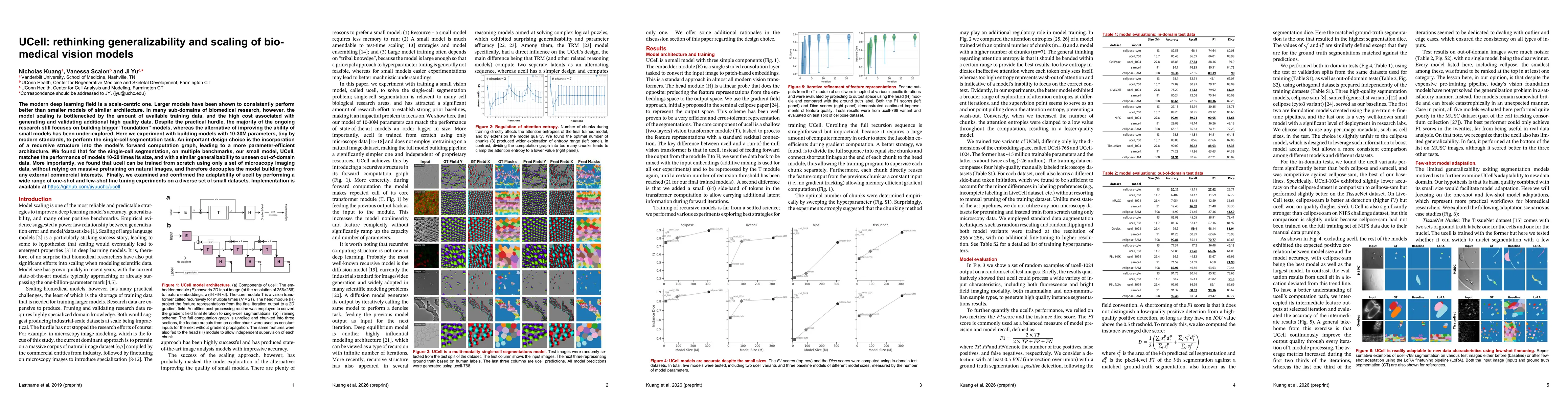Thumbnail for UCell: rethinking generalizability and scaling of bio-medical vision models