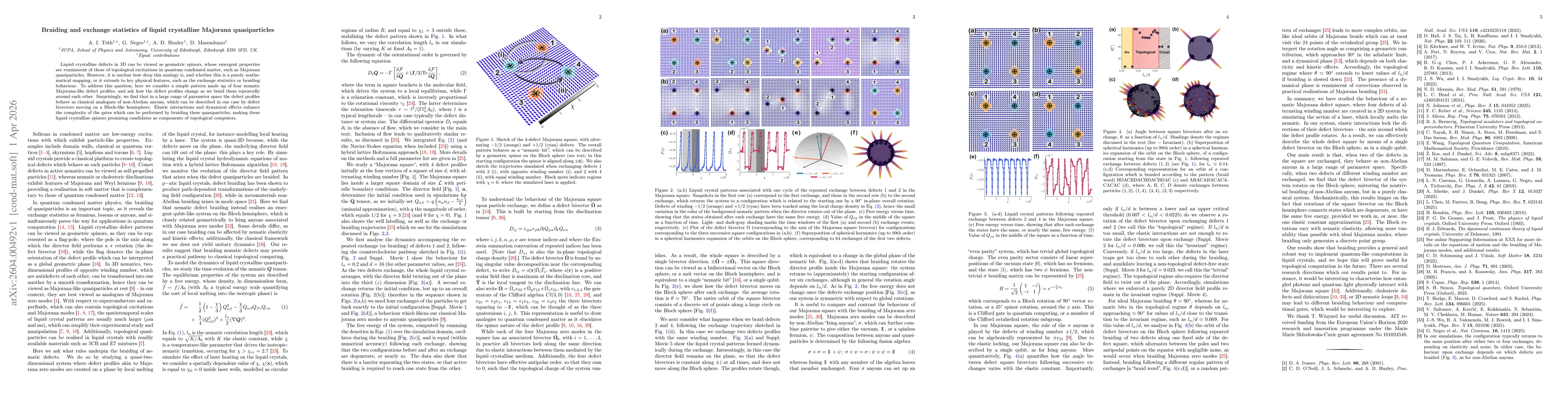 Thumbnail for Braiding and exchange statistics of liquid crystalline Majorana quasiparticles