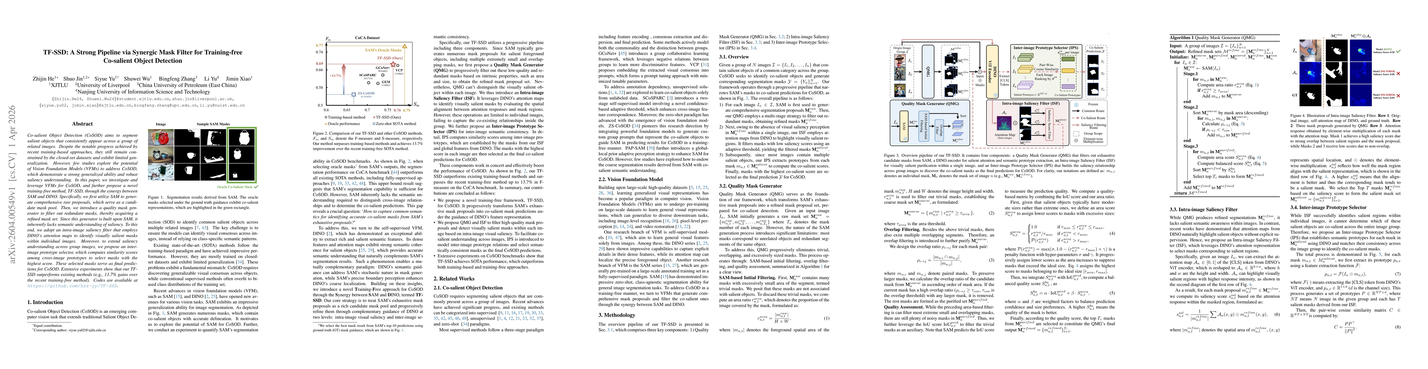 Thumbnail for TF-SSD: A Strong Pipeline via Synergic Mask Filter for Training-free Co-salient Object Detection