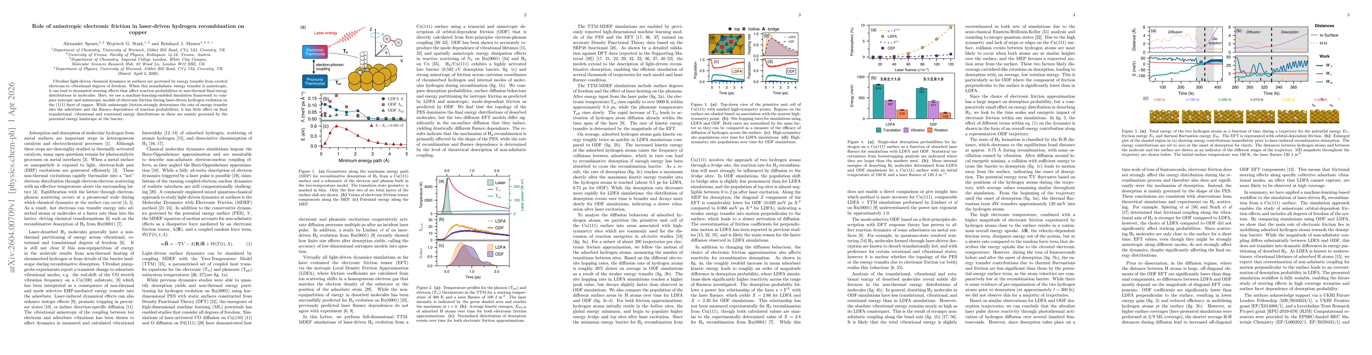 Thumbnail for Role of anisotropic electronic friction in laser-driven hydrogen recombination on copper