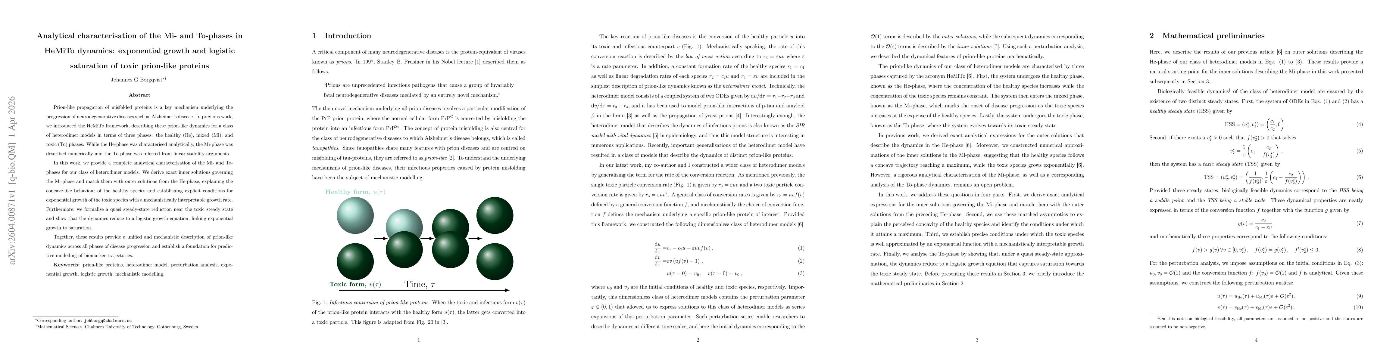 Thumbnail for Analytical characterisation of the Mi- and To-phases in HeMiTo dynamics: exponential growth and logistic saturation of toxic prion-like proteins