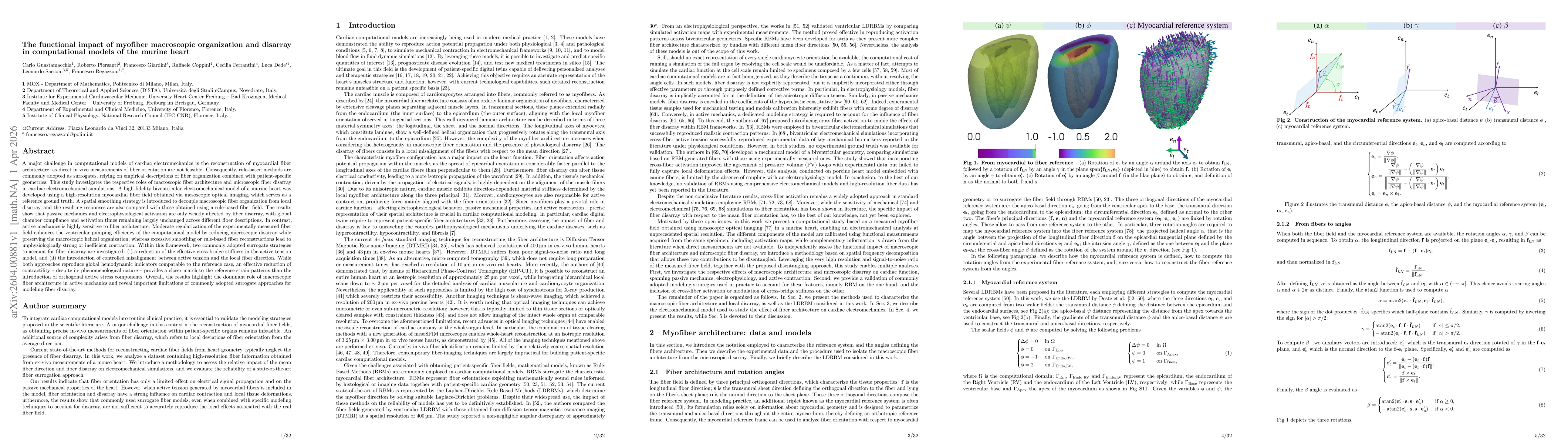 Thumbnail for The functional impact of myofiber macroscopic organization and disarray in computational models of the murine heart