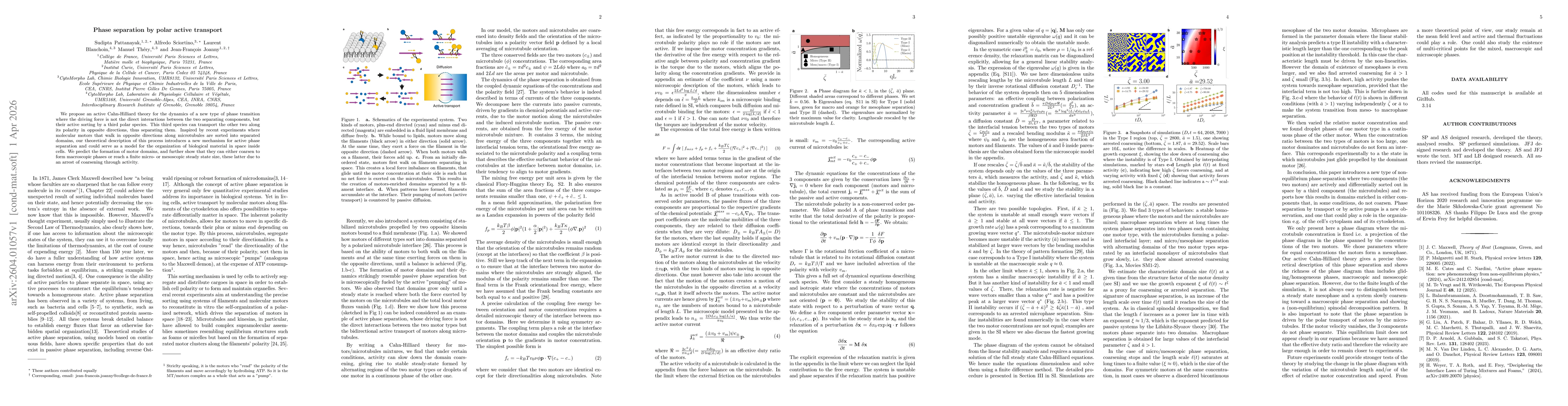 Thumbnail for Phase separation by polar active transport