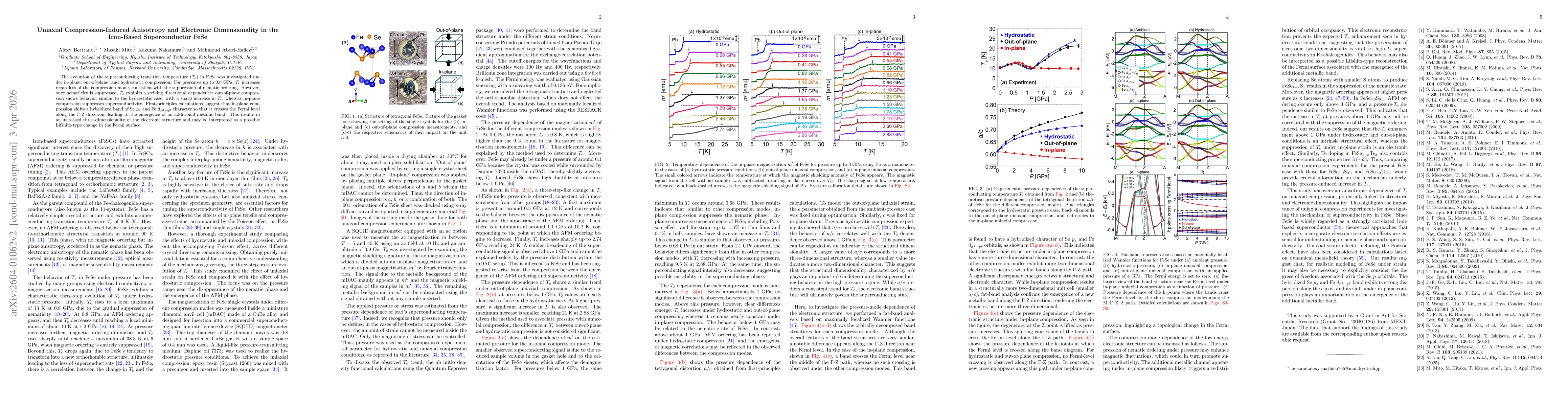 Thumbnail for Uniaxial Compression-Induced Anisotropy and Electronic Dimensionality in the Iron-Based Superconductor FeSe