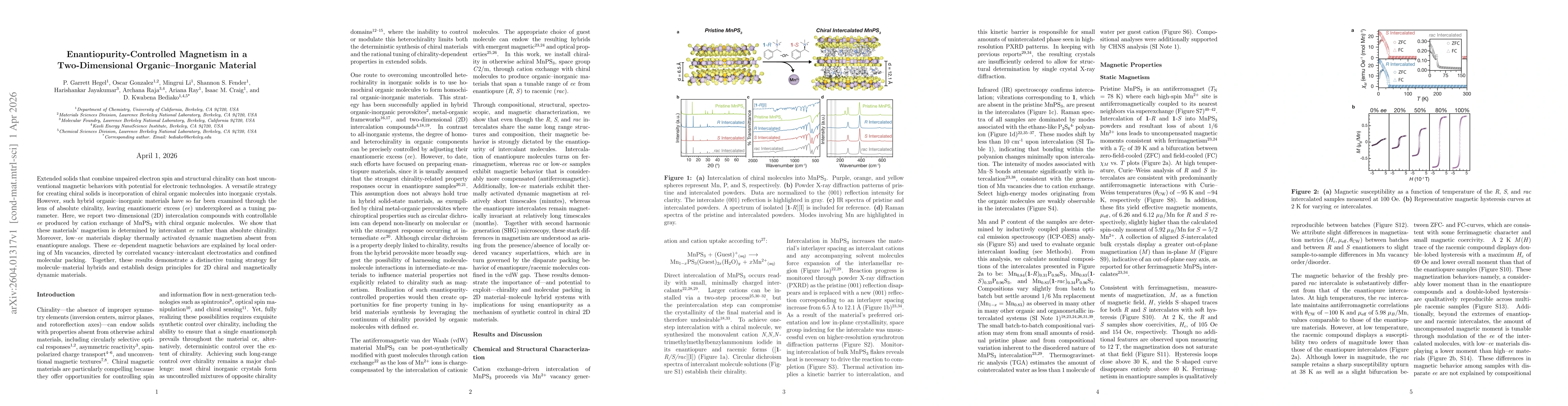 Thumbnail for Enantiopurity-Controlled Magnetism in a Two-Dimensional Organic-Inorganic Material