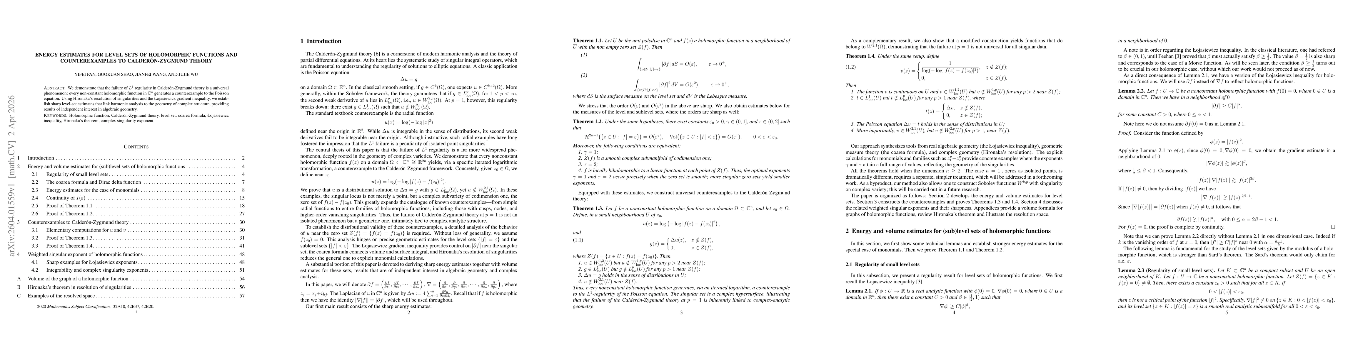 Thumbnail for Energy estimates for level sets of holomorphic functions and counterexamples to Calderón-Zygmund theory