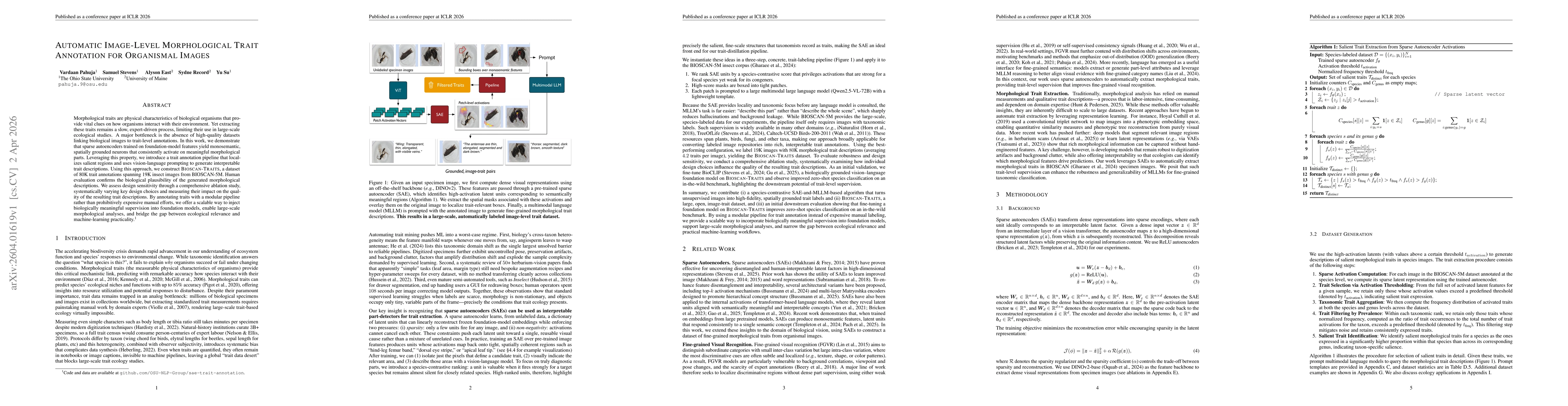 Thumbnail for Automatic Image-Level Morphological Trait Annotation for Organismal Images
