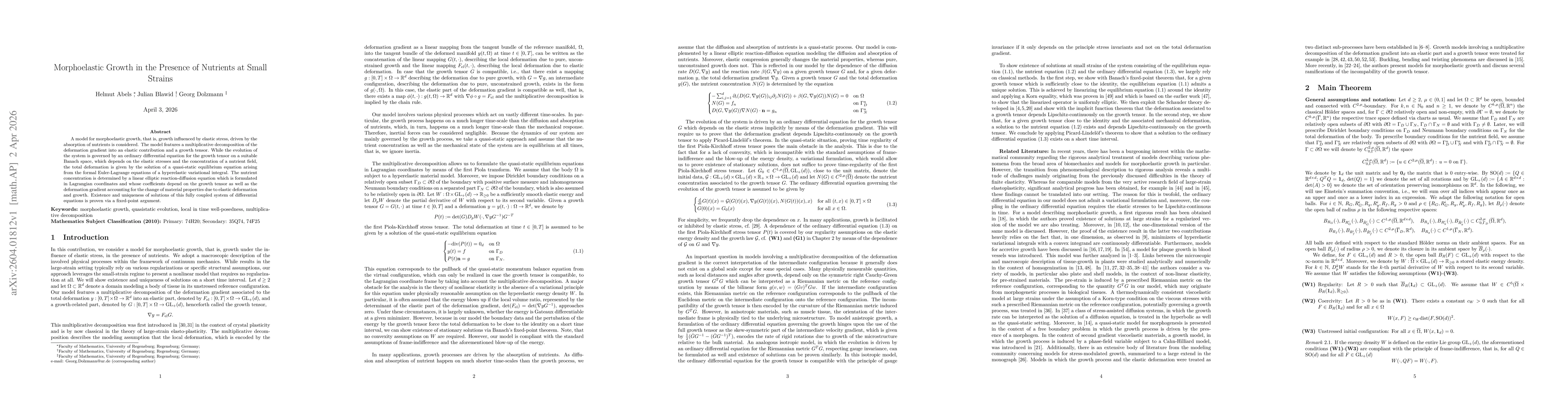 Thumbnail for Morphoelastic Growth in the Presence of Nutrients at Small Strains