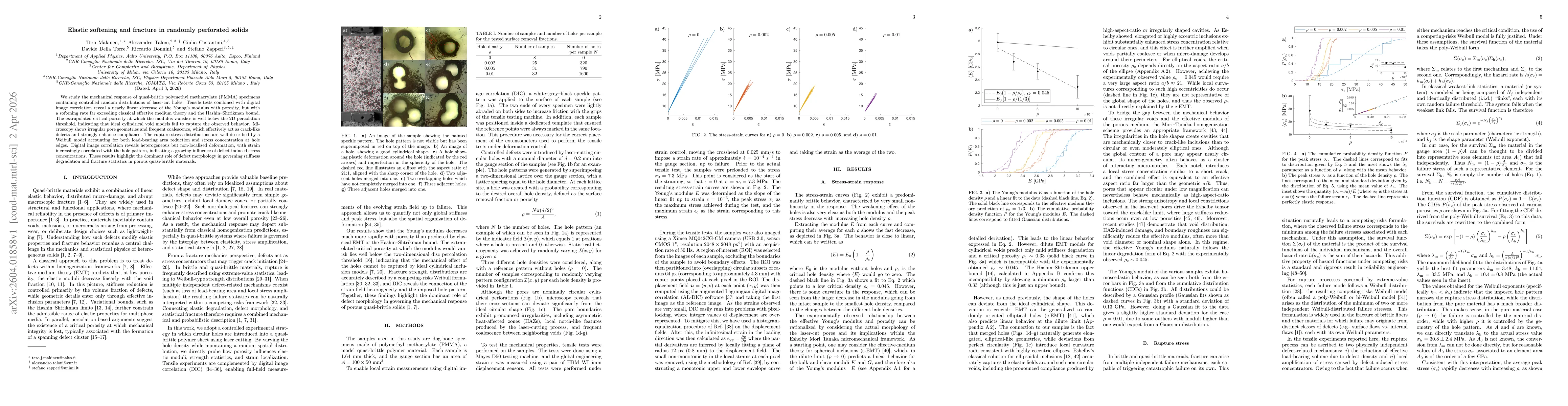 Thumbnail for Elastic softening and fracture in randomly perforated solids