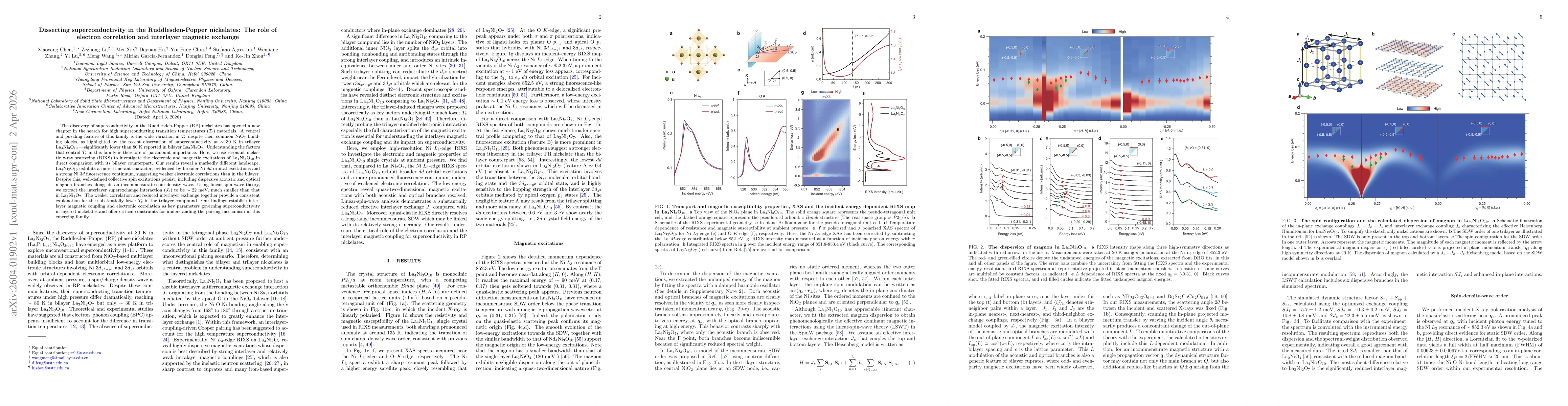 Thumbnail for Dissecting superconductivity in the Ruddlesden-Popper nickelates: The role of electron correlation and interlayer magnetic exchange