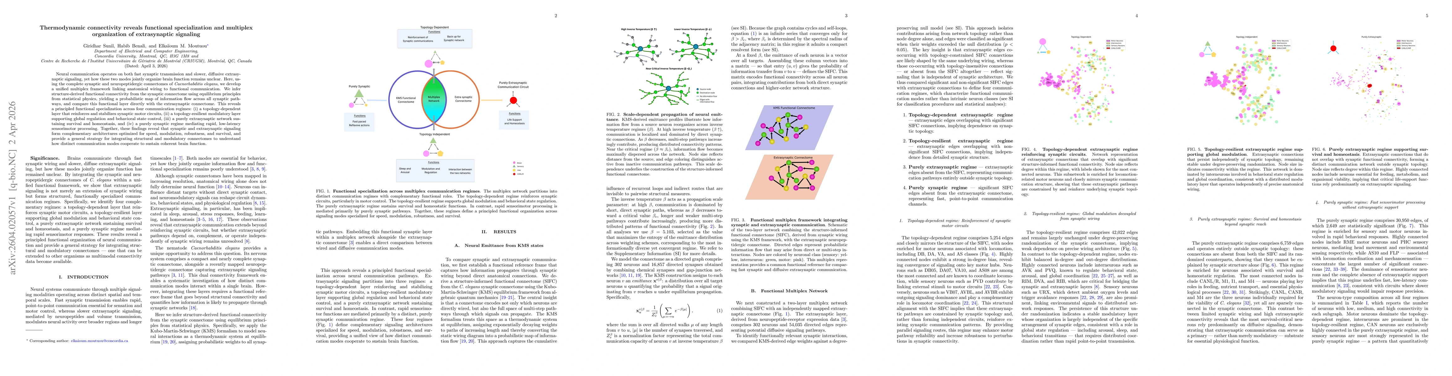 Thumbnail for Thermodynamic connectivity reveals functional specialization and multiplex organization of extrasynaptic signaling