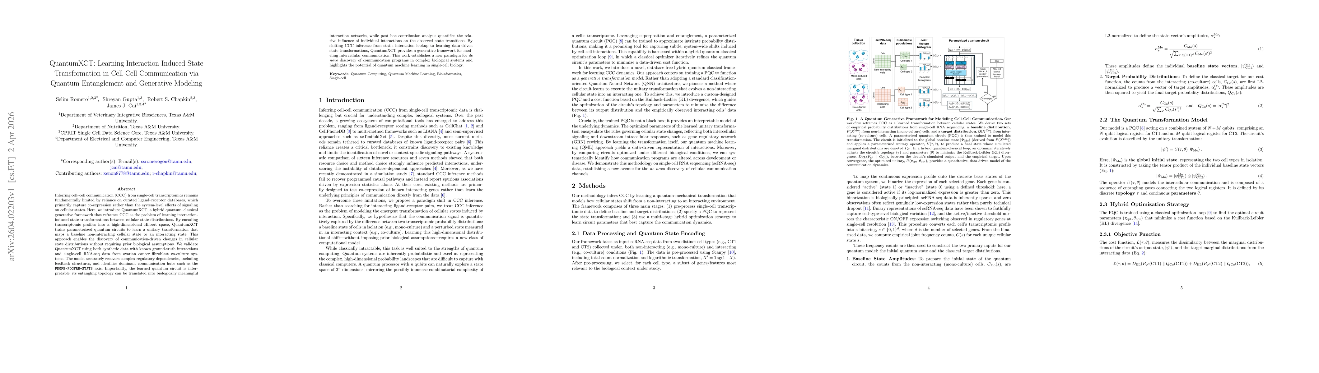 Thumbnail for QuantumXCT: Learning Interaction-Induced State Transformation in Cell-Cell Communication via Quantum Entanglement and Generative Modeling
