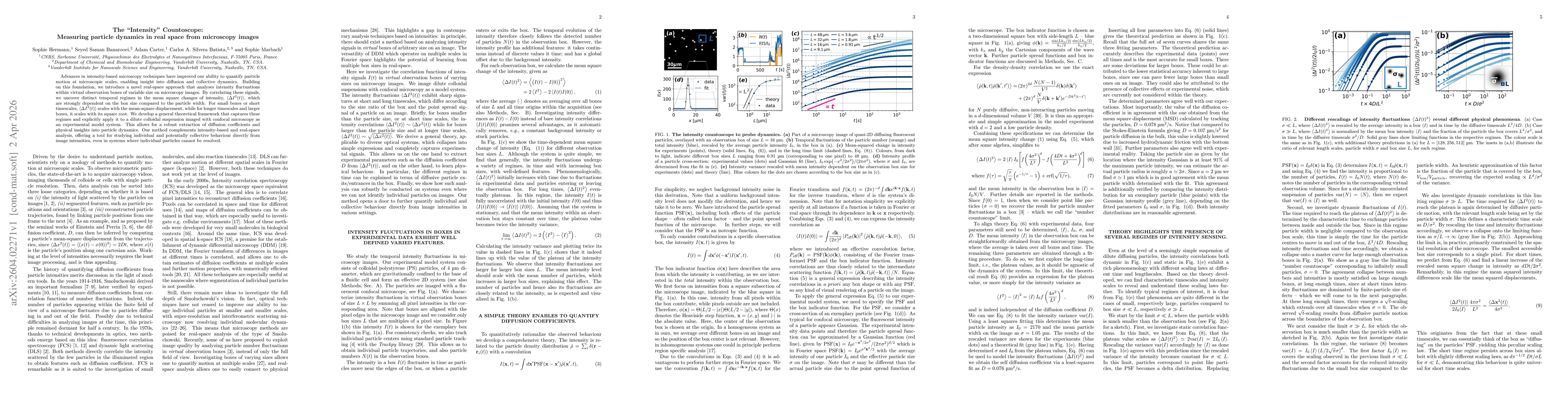 Thumbnail for The "Intensity" Countoscope: Measuring particle dynamics in real space from microscopy images