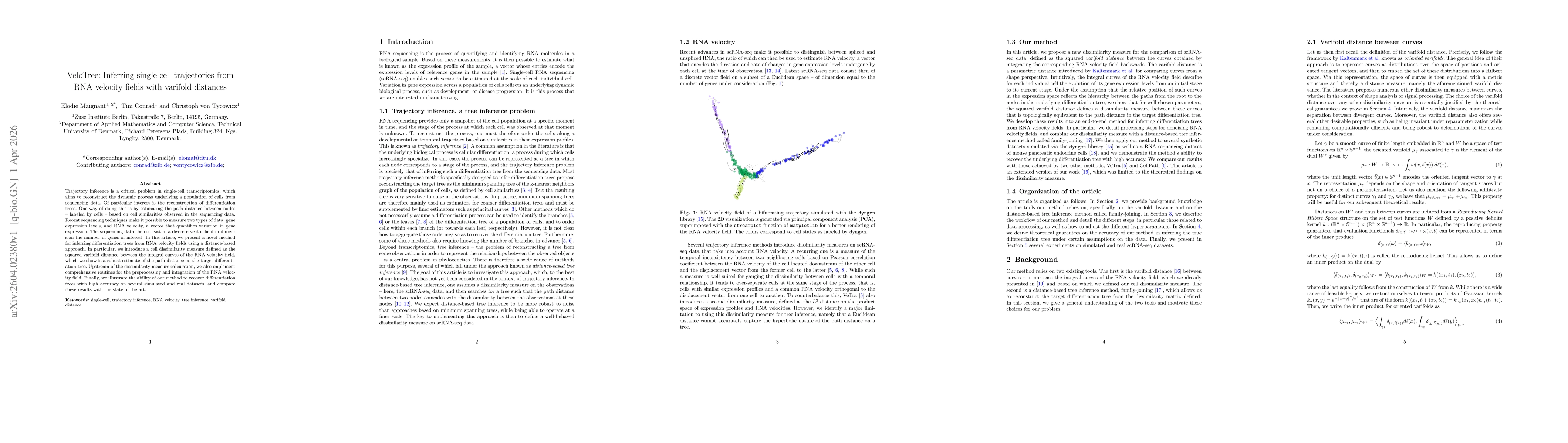 Thumbnail for VeloTree: Inferring single-cell trajectories from RNA velocity fields with varifold distances