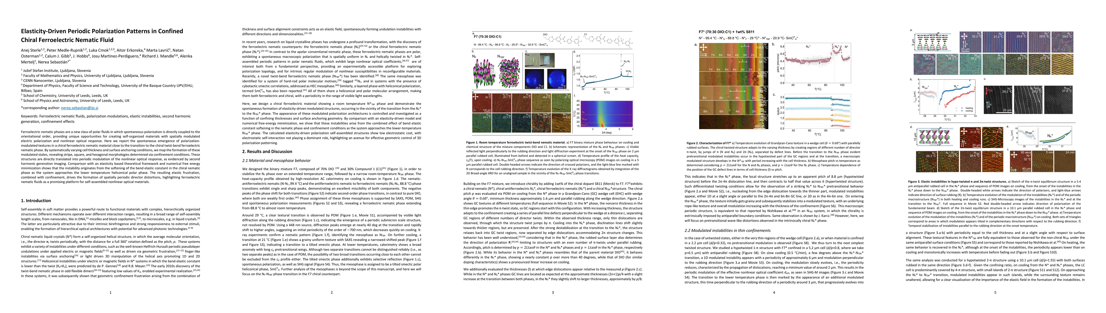 Thumbnail for Elasticity-Driven Periodic Polarization Patterns in Confined Chiral Ferroelectric Nematic Fluid