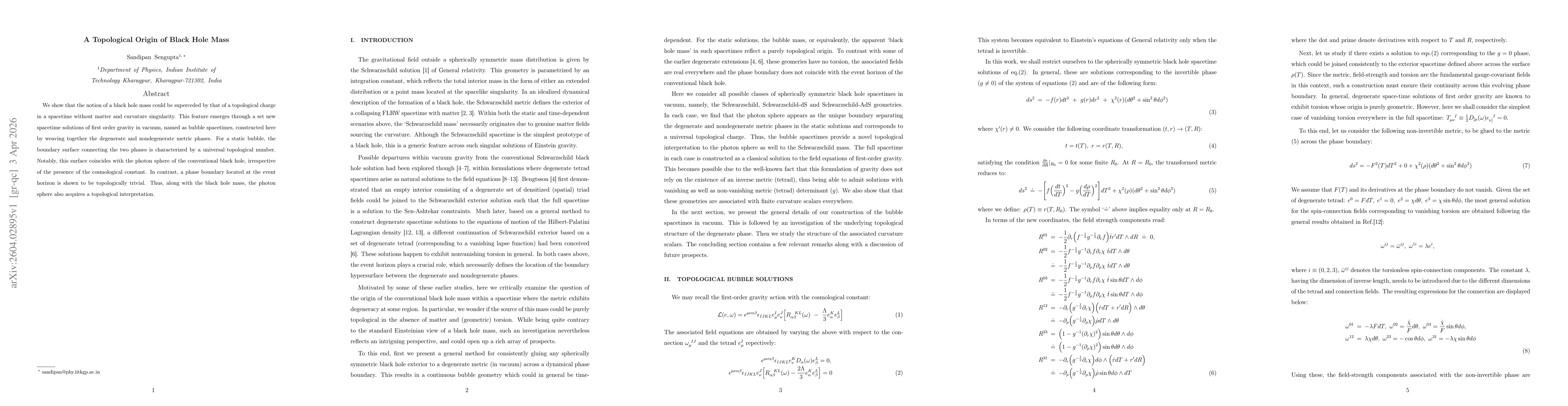 Thumbnail for A Topological Origin of Black Hole Mass