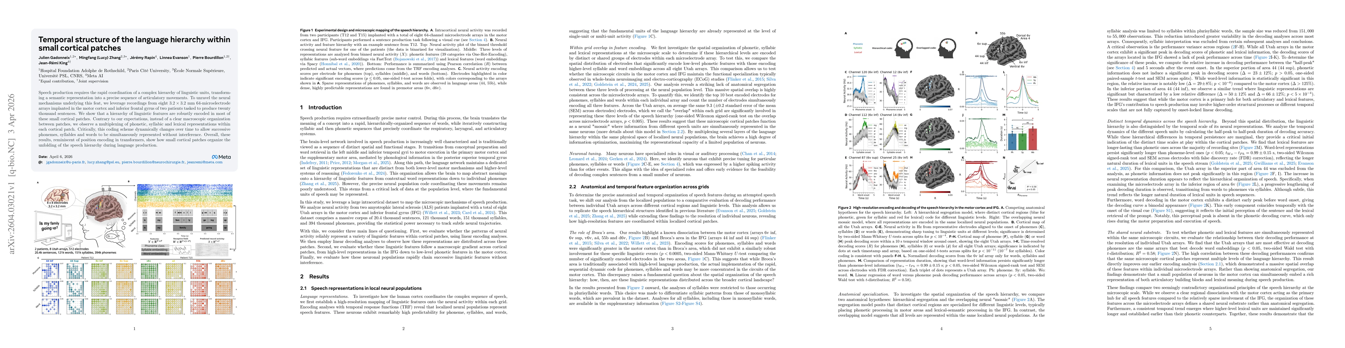 Thumbnail for Temporal structure of the language hierarchy within small cortical patches