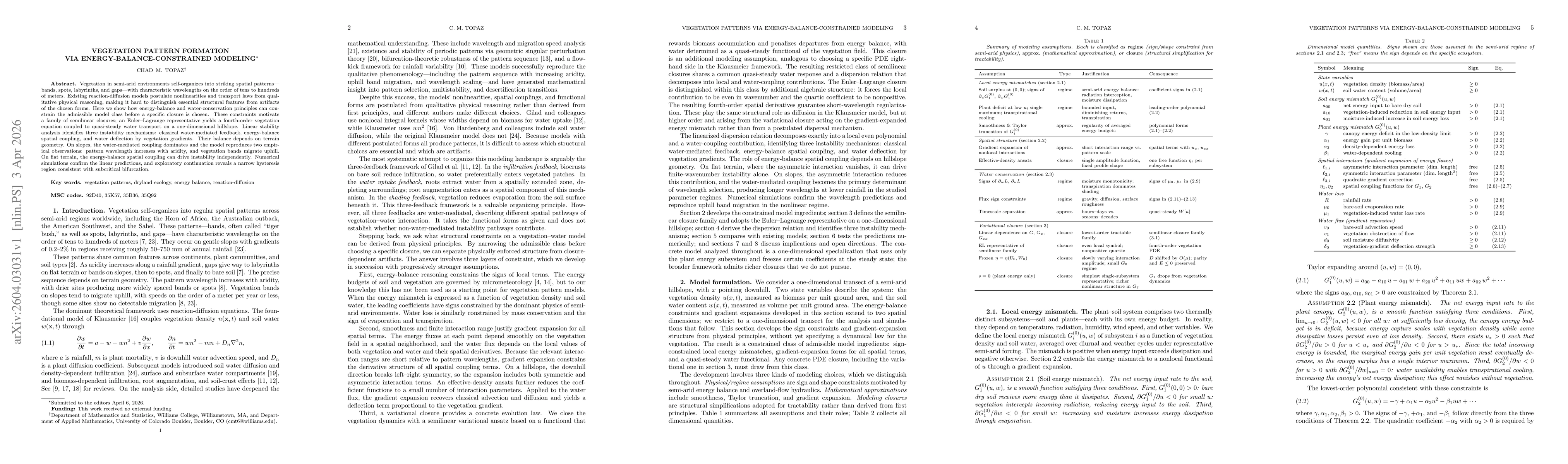 Thumbnail for Vegetation Pattern Formation via Energy-Balance-Constrained Modeling