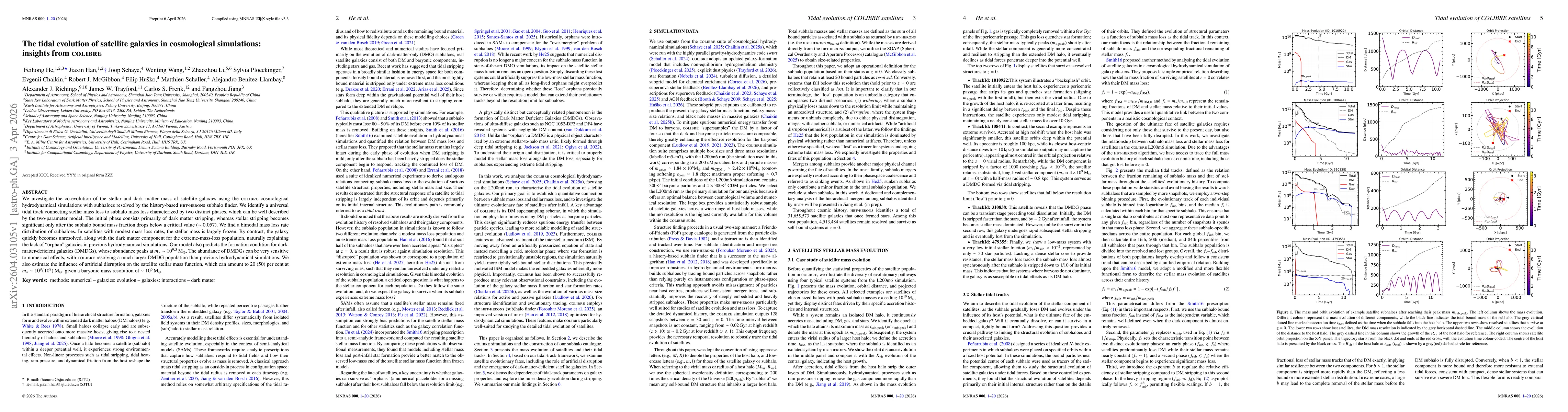 Thumbnail for The tidal evolution of satellite galaxies in cosmological simulations: insights from COLIBRE