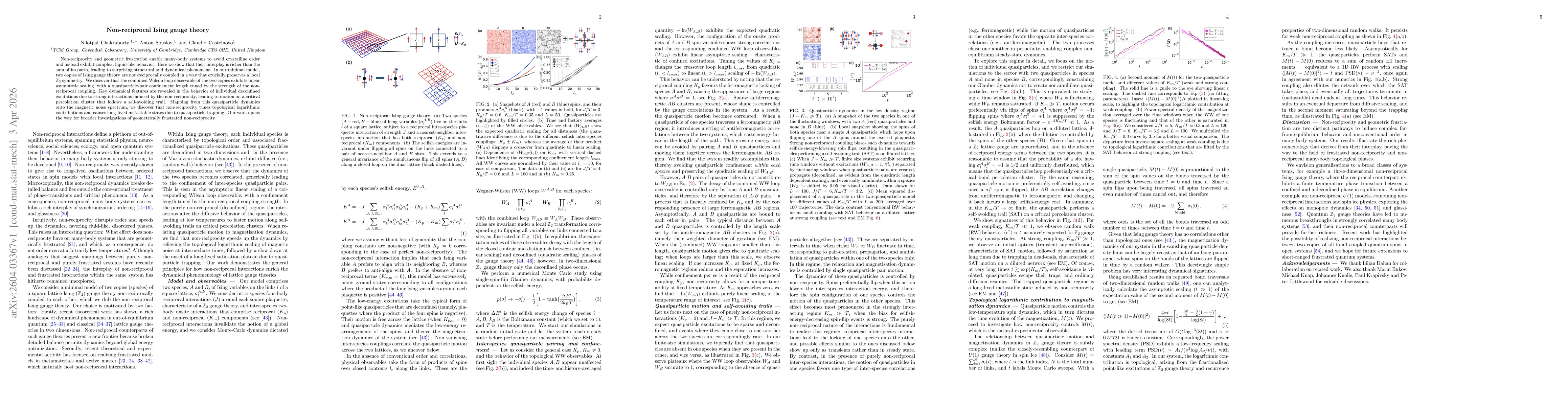 Thumbnail for Non-reciprocal Ising gauge theory