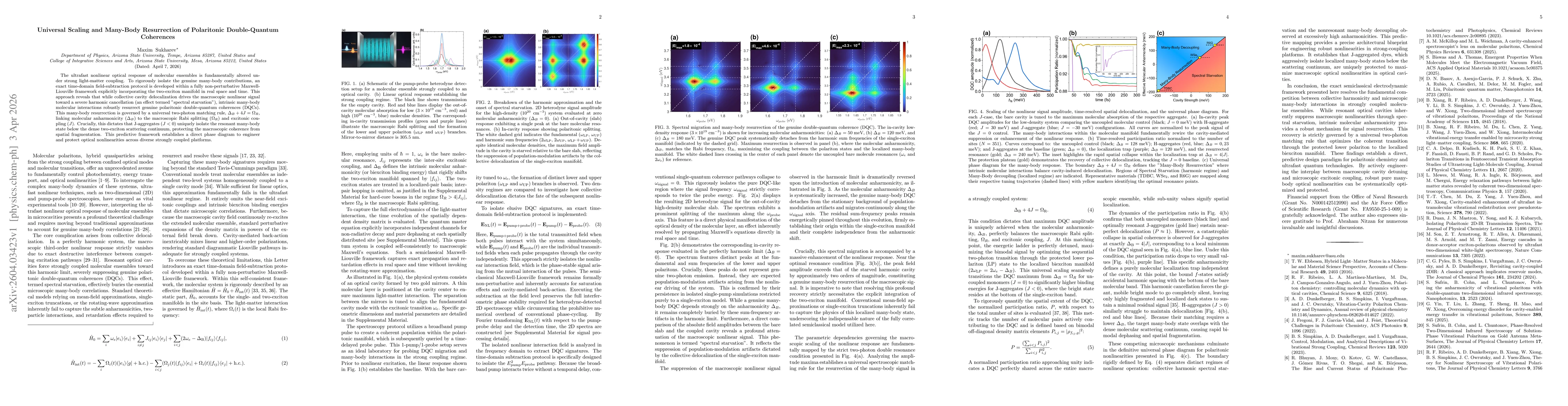 Thumbnail for Universal Scaling and Many-Body Resurrection of Polaritonic Double-Quantum Coherences