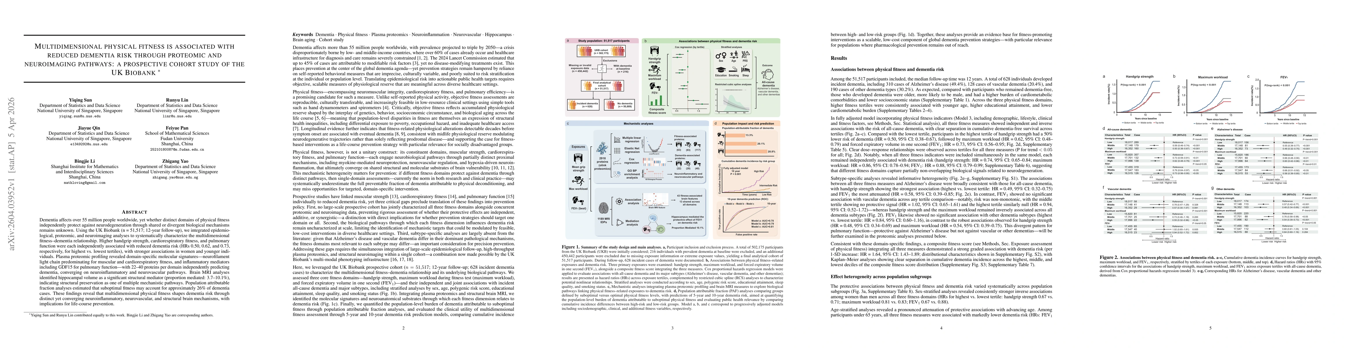 Thumbnail for Multidimensional physical fitness is associated with reduced dementia risk through proteomic and neuroimaging pathways: a prospective cohort study of the UK Biobank