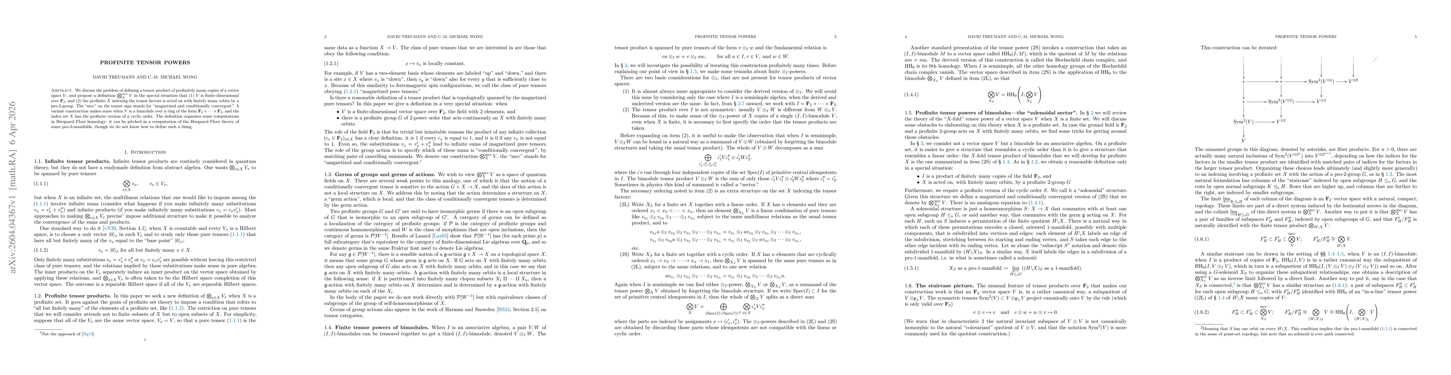 Thumbnail for Profinite tensor powers