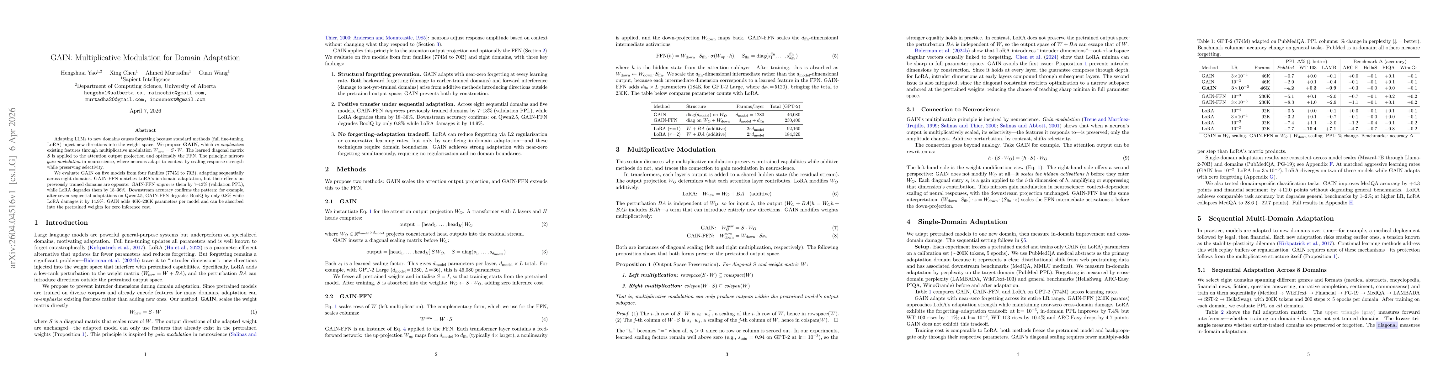 Thumbnail for GAIN: Multiplicative Modulation for Domain Adaptation