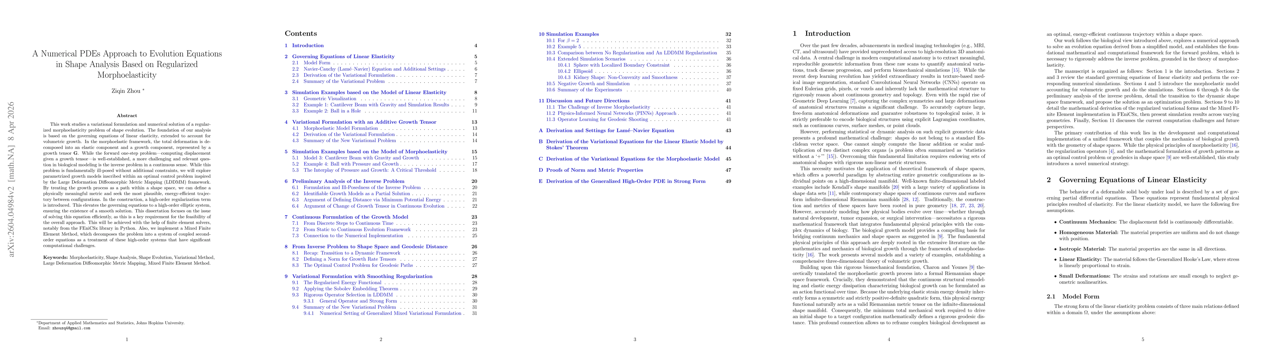 Thumbnail for A Numerical PDEs Approach to Evolution Equations in Shape Analysis Based on Regularized Morphoelasticity