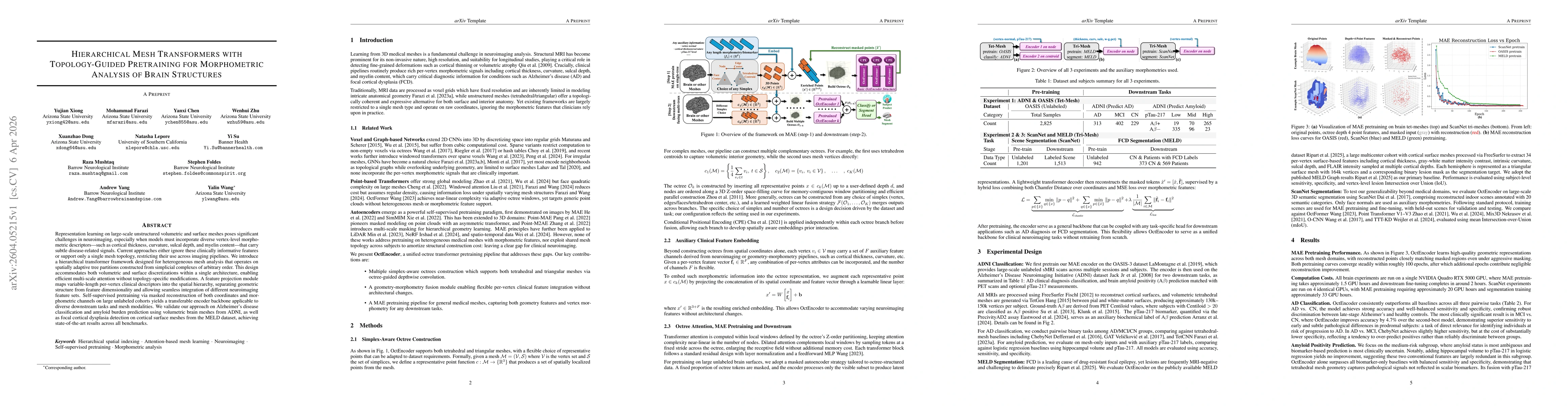 Thumbnail for Hierarchical Mesh Transformers with Topology-Guided Pretraining for Morphometric Analysis of Brain Structures