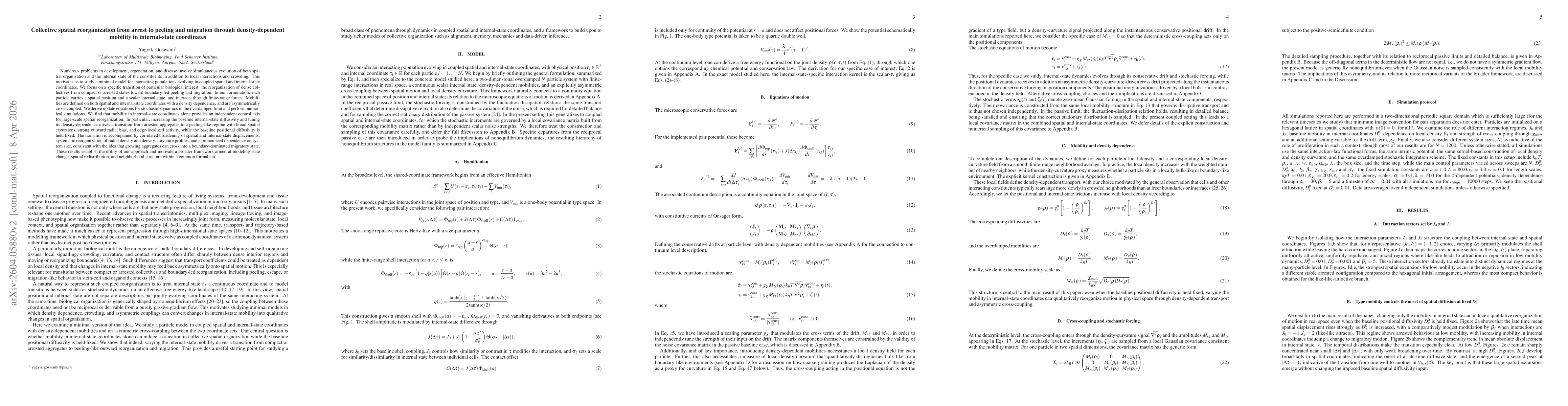 Thumbnail for Collective spatial reorganization from arrest to peeling and migration through density-dependent mobility in internal-state coordinates
