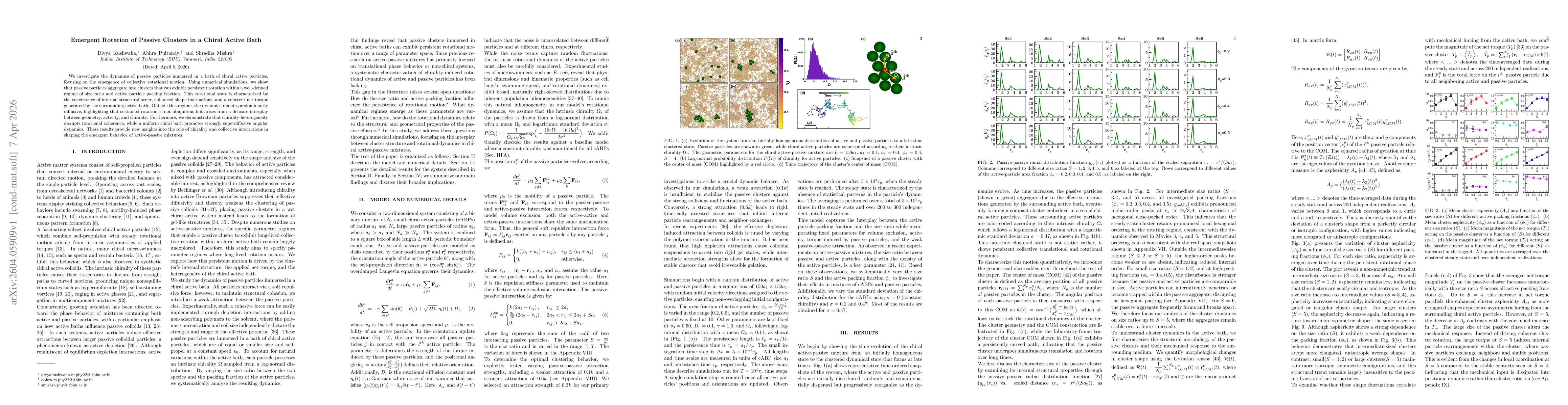 Thumbnail for Emergent Rotation of Passive Clusters in a Chiral Active Bath