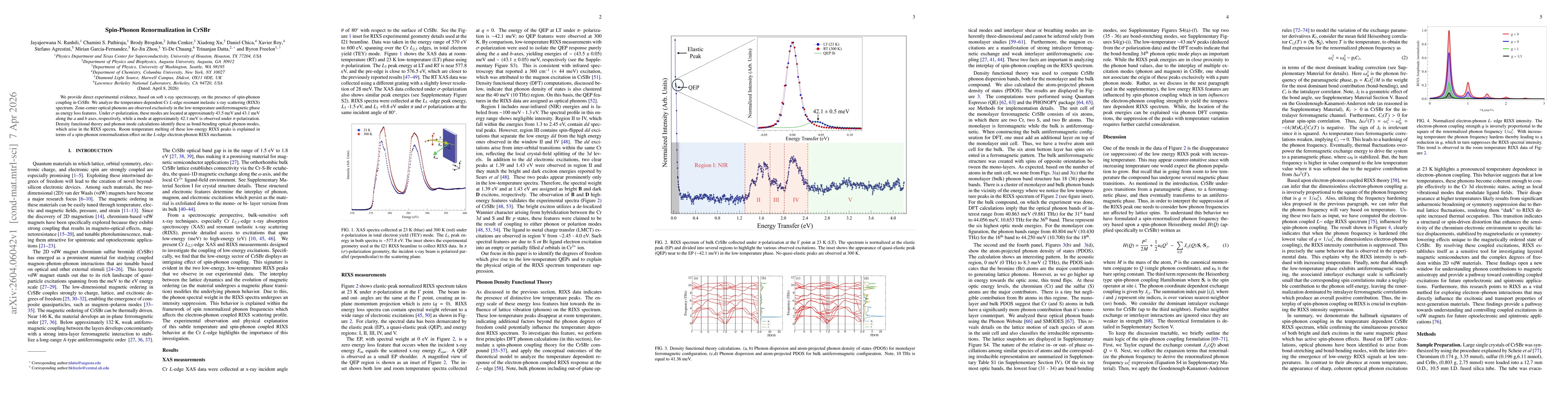 Thumbnail for Spin-Phonon Renormalization in CrSBr