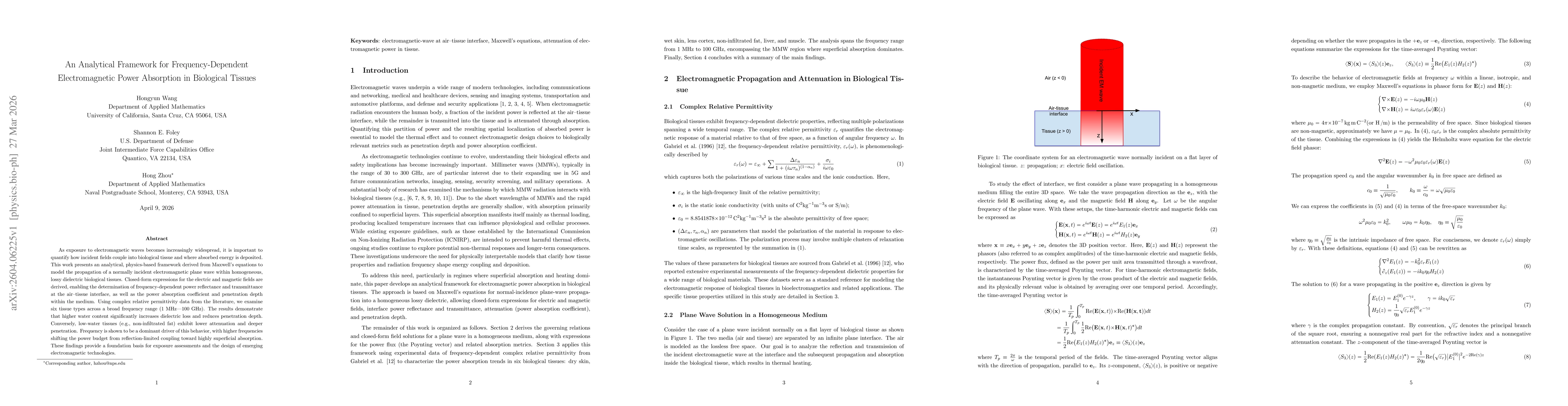 Thumbnail for An Analytical Framework for Frequency-Dependent Electromagnetic Power Absorption in Biological Tissues