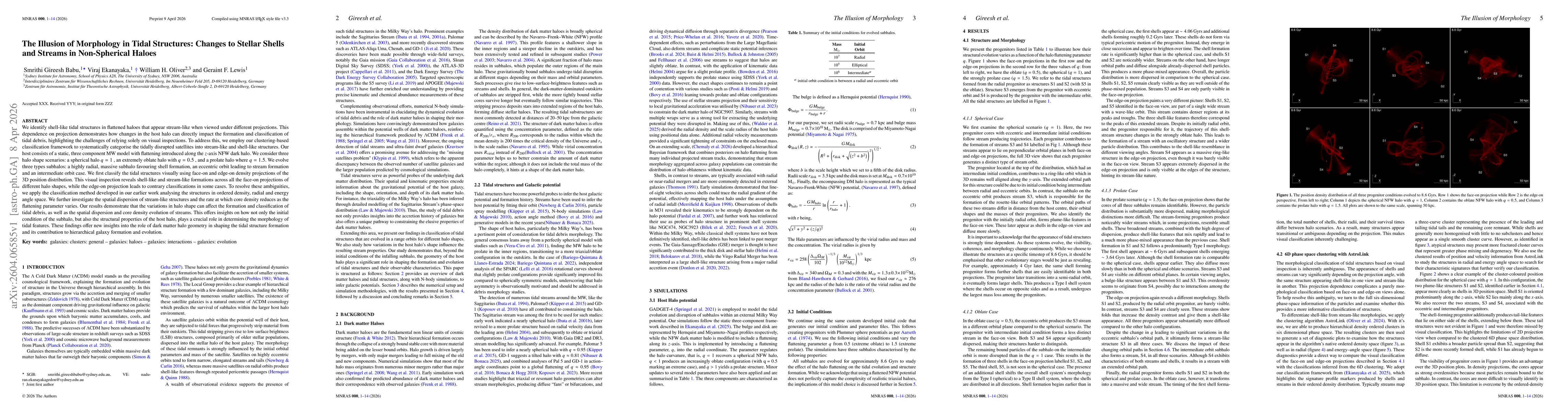 Thumbnail for The Illusion of Morphology in Tidal Structures: Changes to Stellar Shells and Streams in Non-Spherical Haloes