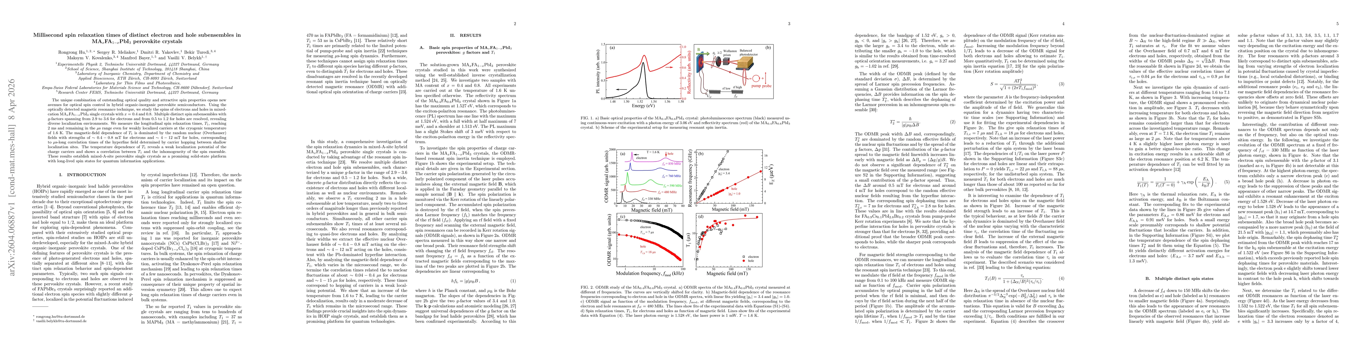 Thumbnail for Millisecond spin relaxation times of distinct electron and hole subensembles in MA$_x$FA$_{1-x}$PbI$_3$ perovskite crystals