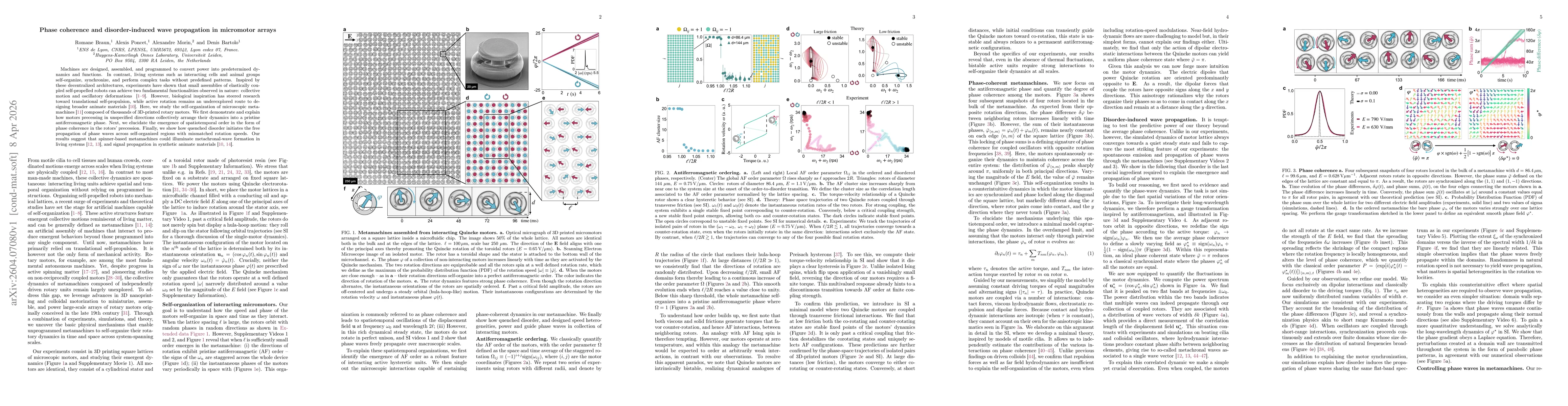 Thumbnail for Phase coherence and disorder-induced wave propagation in micromotor arrays