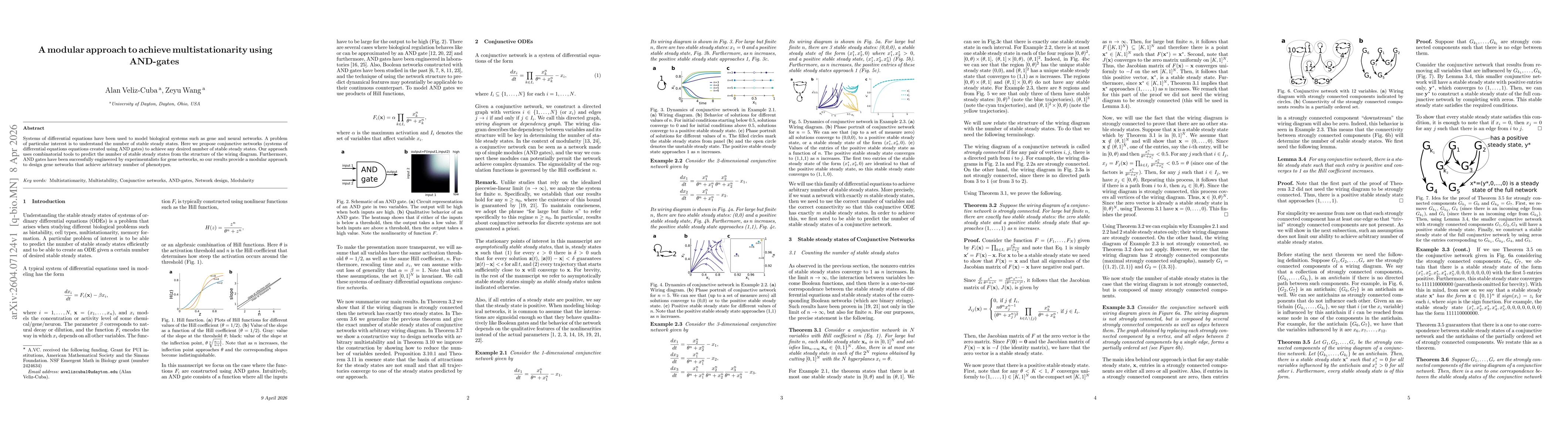Thumbnail for A modular approach to achieve multistationarity using AND-gates