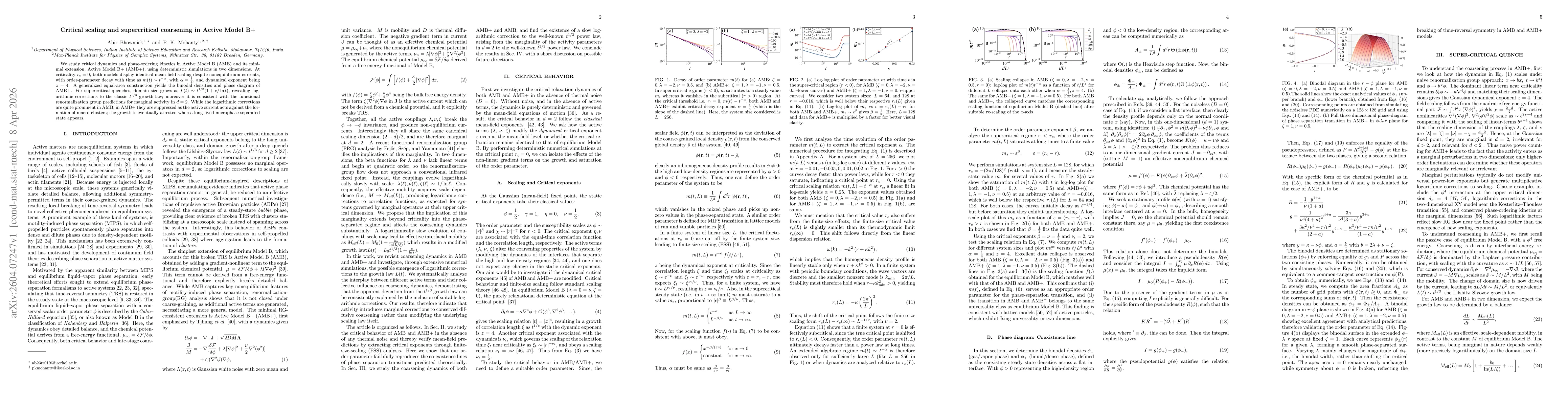 Thumbnail for Critical scaling and supercritical coarsening in Active Model B+